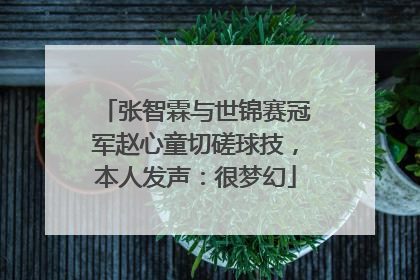 张智霖与世锦赛冠军赵心童切磋球技，本人发声：很梦幻