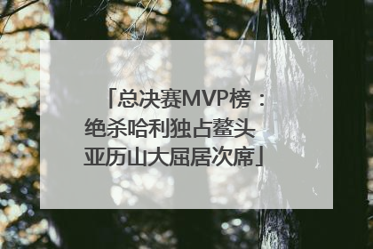 总决赛MVP榜：绝杀哈利独占鳌头 亚历山大屈居次席