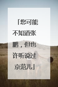 您可能不知道张鹏，但也许听说过京范儿