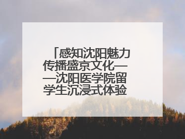 感知沈阳魅力传播盛京文化——沈阳医学院留学生沉浸式体验沈阳文旅特色