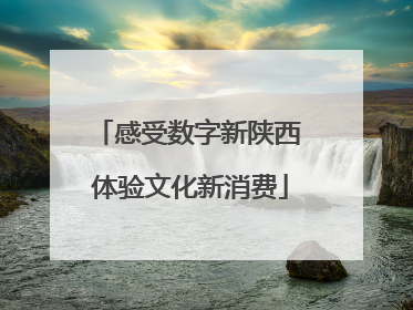 感受数字新陕西 体验文化新消费