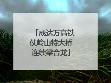 成达万高铁仗岭山特大桥连续梁合龙