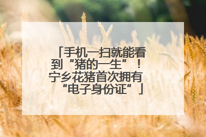手机一扫就能看到“猪的一生”！宁乡花猪首次拥有“电子身份证”