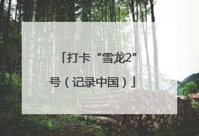 打卡“雪龙2”号（记录中国）