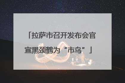 拉萨市召开发布会官宣黑颈鹤为“市鸟”