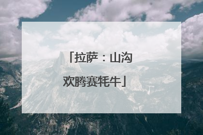 拉萨：山沟欢腾赛牦牛