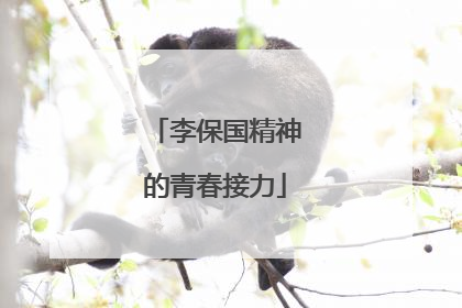 李保国精神的青春接力