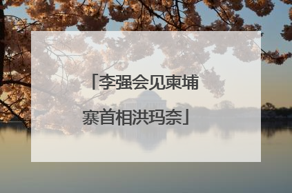 李强会见柬埔寨首相洪玛奈