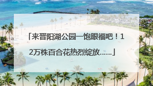 来晋阳湖公园一饱眼福吧！12万株百合花热烈绽放……