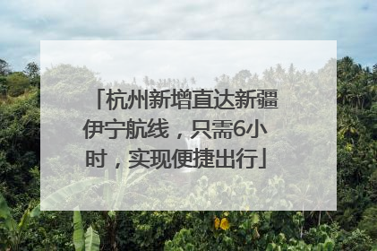 杭州新增直达新疆伊宁航线，只需6小时，实现便捷出行