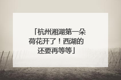 杭州湘湖第一朵荷花开了！西湖的还要再等等