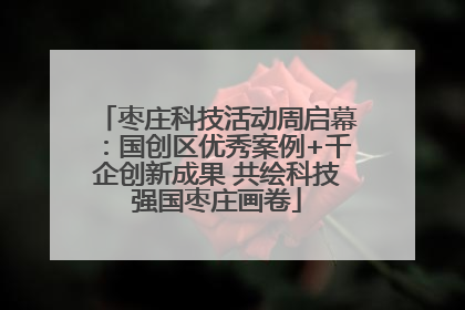 枣庄科技活动周启幕：国创区优秀案例+千企创新成果 共绘科技强国枣庄画卷
