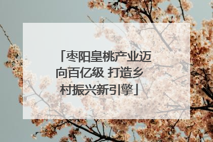 枣阳皇桃产业迈向百亿级 打造乡村振兴新引擎