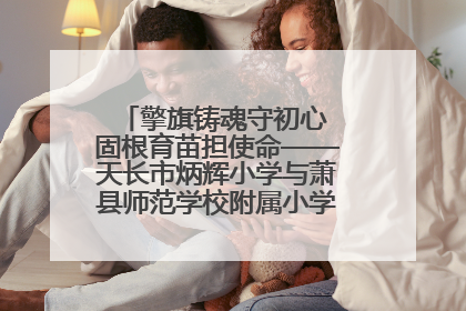 擎旗铸魂守初心 固根育苗担使命——天长市炳辉小学与萧县师范学校附属小学结对共建活动纪实