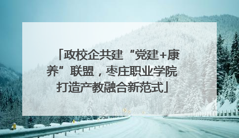 政校企共建“党建+康养”联盟，枣庄职业学院打造产教融合新范式