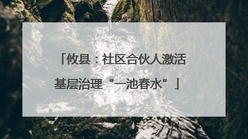 攸县：社区合伙人激活基层治理“一池春水”