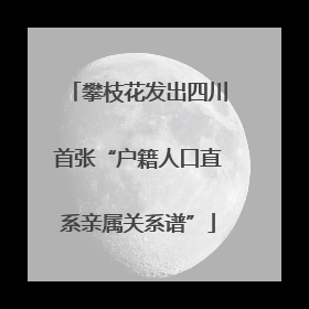 攀枝花发出四川首张“户籍人口直系亲属关系谱”