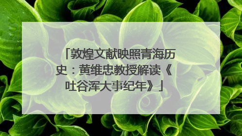 敦煌文献映照青海历史：黄维忠教授解读《吐谷浑大事纪年》