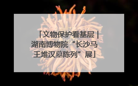 文物保护看基层｜湖南博物院“长沙马王堆汉墓陈列”展