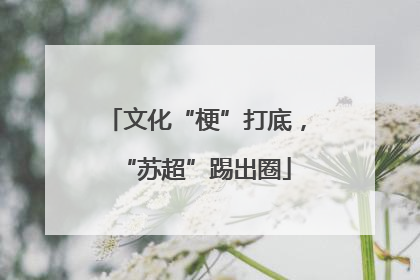 文化“梗”打底，“苏超”踢出圈
