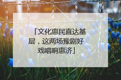文化惠民直达基层，这两场豫剧好戏唱响惠济