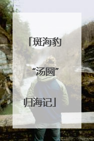 斑海豹“汤圆”归海记