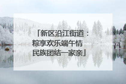 新区沿江街道：粽享欢乐端午情 民族团结一家亲
