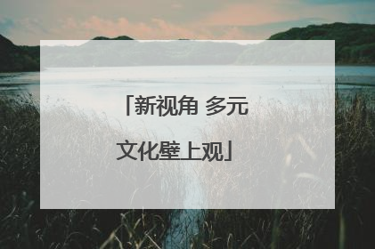 新视角 多元文化壁上观