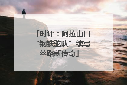 时评：阿拉山口“钢铁驼队”续写丝路新传奇