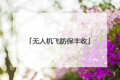 无人机飞防保丰收