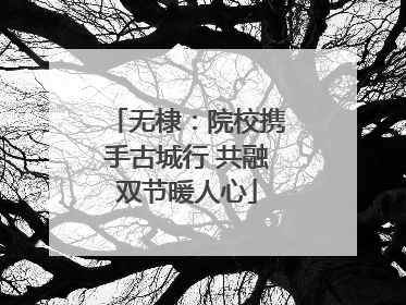 无棣：院校携手古城行 共融双节暖人心