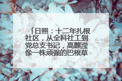 日照：十二年扎根社区，从全科社工到党总支书记，高麒滢像一株顽强的巴根草，把根深深扎进基层的土壤——“巴根草书记”的夏日叙事