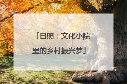 日照：文化小院里的乡村振兴梦