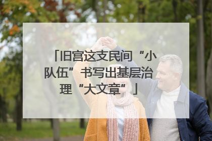 旧宫这支民间“小队伍”书写出基层治理“大文章”