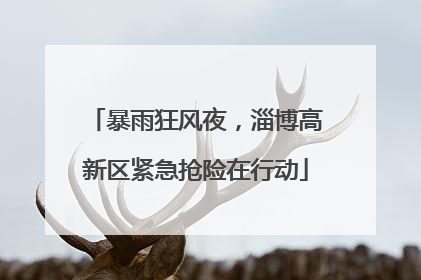 暴雨狂风夜，淄博高新区紧急抢险在行动