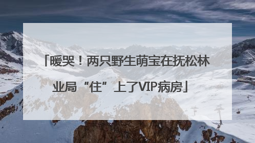 暖哭！两只野生萌宝在抚松林业局“住”上了VIP病房