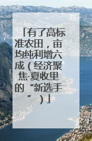 有了高标准农田，亩均纯利增六成（经济聚焦·夏收里的“新选手”）