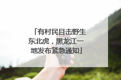 有村民目击野生东北虎，黑龙江一地发布紧急通知