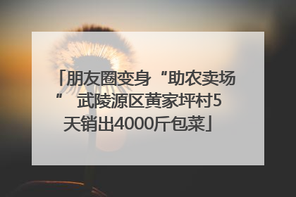 朋友圈变身“助农卖场” 武陵源区黄家坪村5天销出4000斤包菜