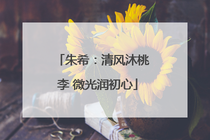朱希：清风沐桃李 微光润初心
