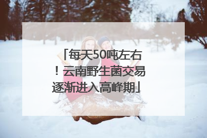 每天50吨左右！云南野生菌交易逐渐进入高峰期