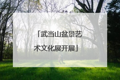 武当山盆景艺术文化展开展