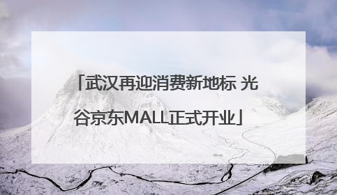 武汉再迎消费新地标 光谷京东MALL正式开业