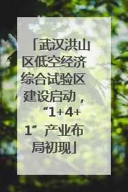 武汉洪山区低空经济综合试验区建设启动，“1+4+1”产业布局初现