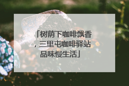 树荫下咖啡飘香，三里屯咖啡驿站品味慢生活