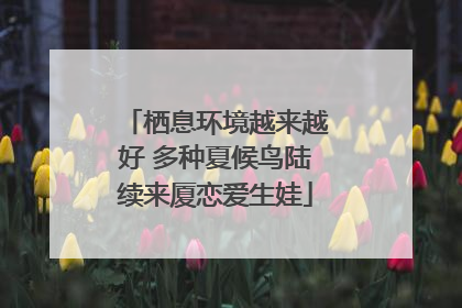 栖息环境越来越好 多种夏候鸟陆续来厦恋爱生娃