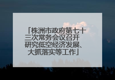 株洲市政府第七十三次常务会议召开 研究低空经济发展、大抓落实等工作