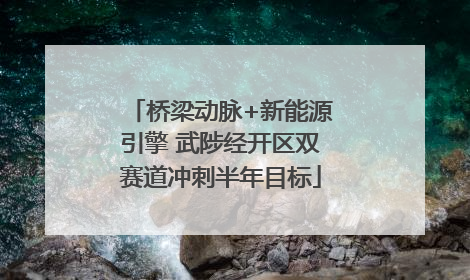 桥梁动脉+新能源引擎 武陟经开区双赛道冲刺半年目标