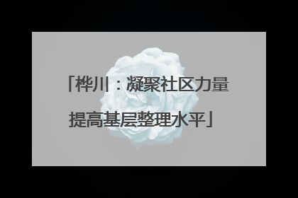桦川：凝聚社区力量 提高基层整理水平