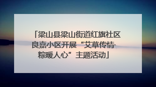 梁山县梁山街道红旗社区良嘉小区开展“艾草传情·粽暖人心”主题活动